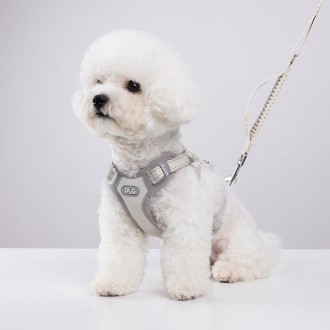 ���� ������ �ϳ׽� ���� ������ ��Ʈ ������� ������ ������ȣ ������ ������ ������ �ְ� �ݷ��� ��