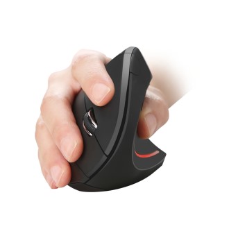 ��� ������ ��ü���� ���� ��Ƽ�� ���콺 MS