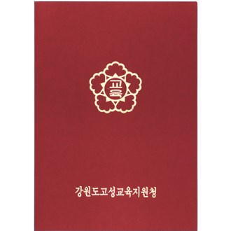 �����̵����� ���̽�����