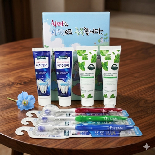 ġ�ſ��� ��ɼ� ġ�� ĩ�� 7����Ʈ B-7ȣ ���̽�  ���� ����